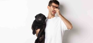 Köpeklerin Sevmediği Kokular