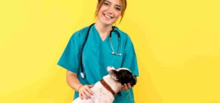 Köpeklerde Yaygın Görülen Hastalıklar