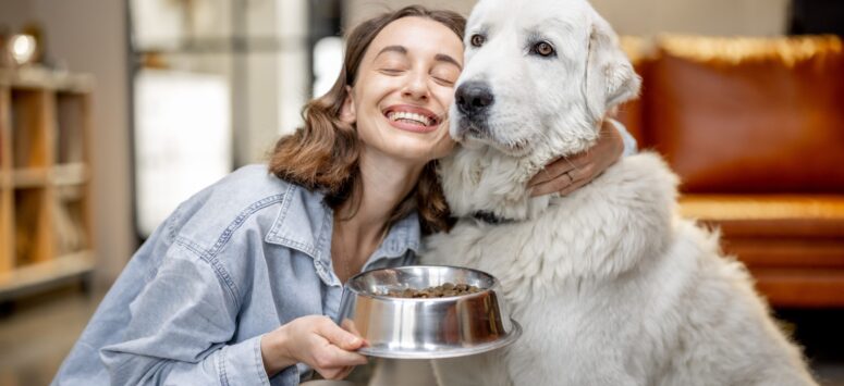 Köpeklerde Bağırsak Tıkanıklığı: Nedenleri, Belirtileri ve Tedavisi