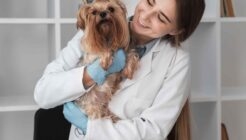 Köpeklerde Wobbler Sendromu: Nedenleri, Belirtileri ve Tedavisi