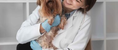 Köpeklerde Wobbler Sendromu: Nedenleri, Belirtileri ve Tedavisi